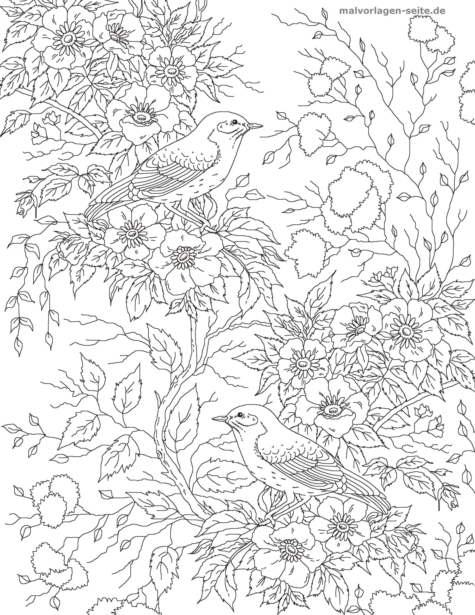 Malvorlage Erwachsene - Vogel Mit Blumen - Ausmalbilder für Malvorlage Blume