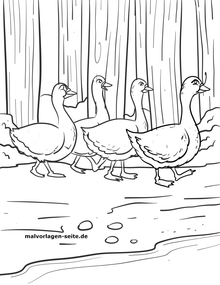 Malvorlage Gans kinderbilder.download kinderbilder Malvorlage Gans kinderbilder.download kinderbilder