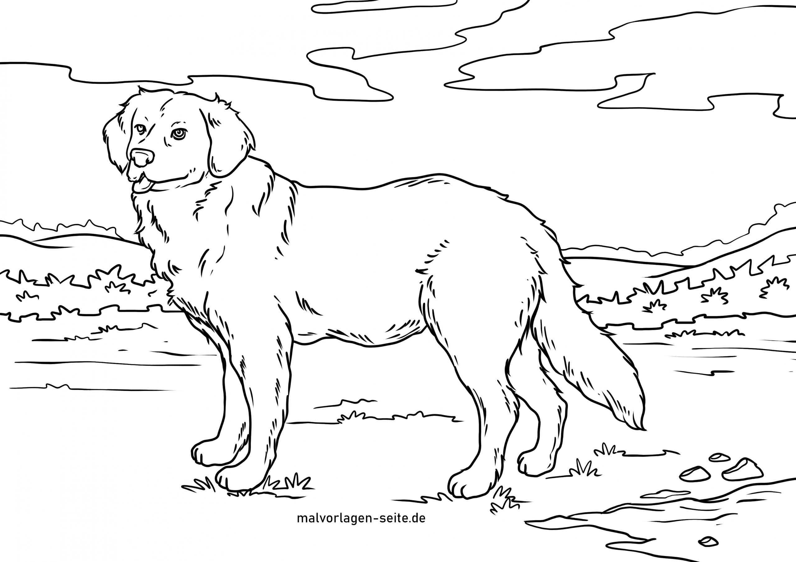 Malvorlage Golden Retriever | Hunde - Ausmalbilder Kostenlos verwandt mit Ausmalbilder Hunde Und Pferde
