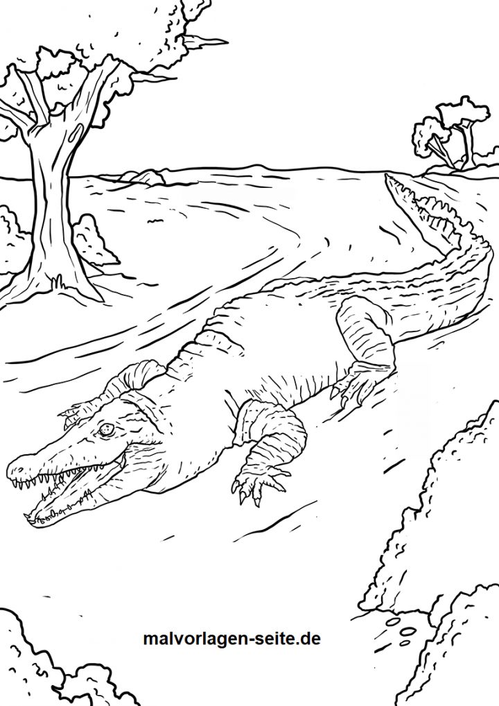 Malvorlage Krokodil | Tiere - Ausmalbilder Kostenlos innen Krokodil Zum