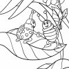 Malvorlage Marienkäfer | Tiere Insekten - Ausmalbilder verwandt mit Marienkäfer Zum Ausmalen