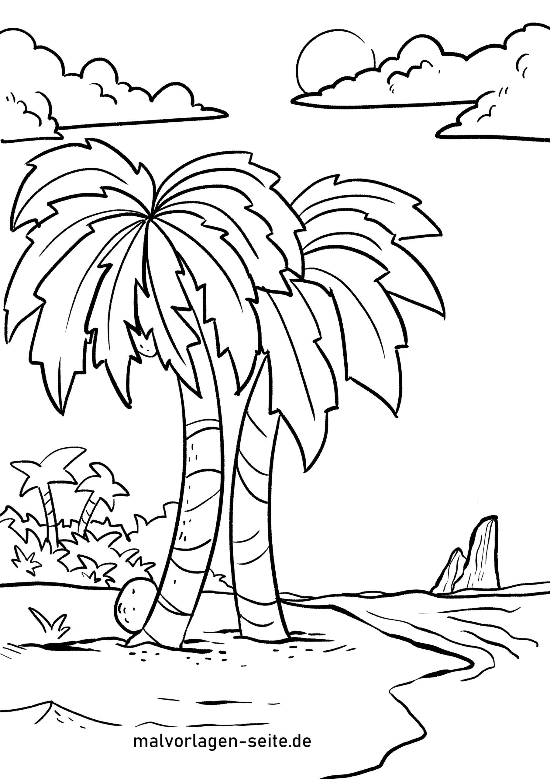 Malvorlage Palmen | Pflanzen - Ausmalbilder Kostenlos bei Malvorlage Palme