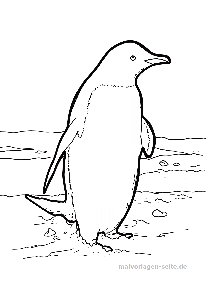 Malvorlage Pinguin | Tiere - Ausmalbilder Kostenlos bei Pinguin Mandala