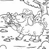 Malvorlage Schaf Und Schmetterling | Tiere - Ausmalbilder bei Schaf Malvorlage