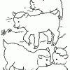 Malvorlage - Schafe Malvorlagen 0 in Ausmalbilder Schafe