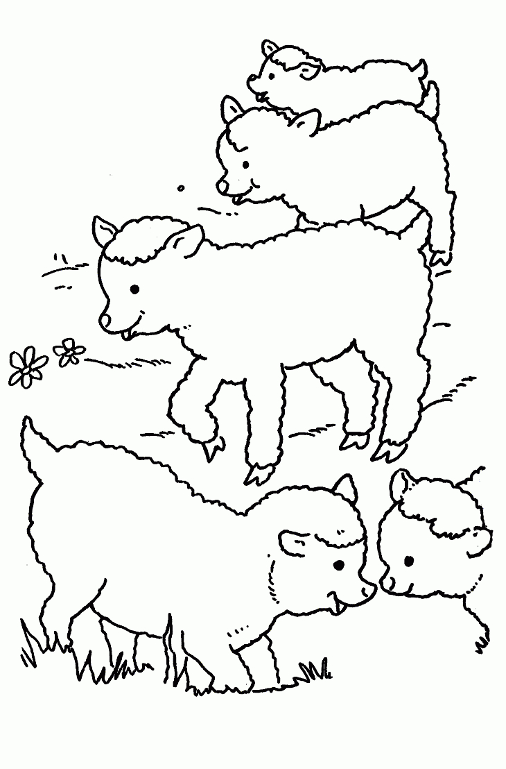 Malvorlage - Schafe Malvorlagen 0 mit Schafe Ausmalbilder