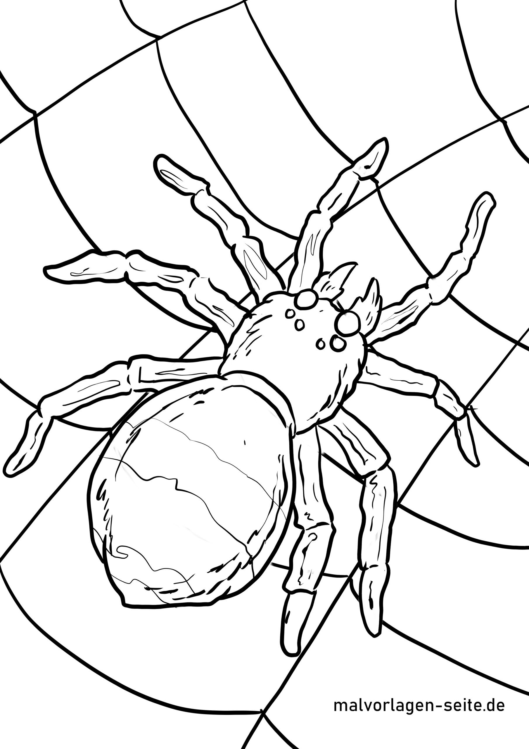 Malvorlage Spinne - Ausmalbilder Kostenlos Herunterladen innen Ausmalbild Spinne