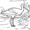 Malvorlage Storch | Tiere - Ausmalbilder Kostenlos Herunterladen über Storch Zum Ausmalen