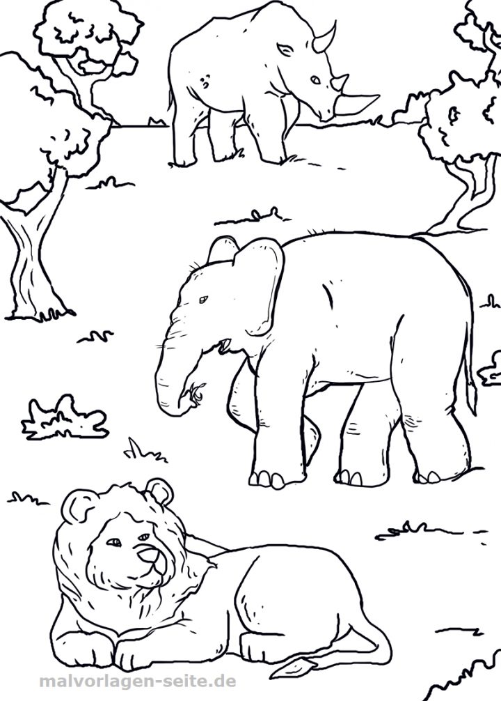 ausmalbilder wildtiere