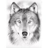 Malvorlage Wolf - Malvorlagen Für Kinder verwandt mit Ausmalbilder Wölfe Kostenlos