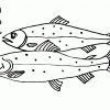Malvorlagen Kostenlos Fisch | Coloring And Malvorlagan ganzes Ausmalbild Fische
