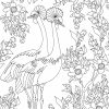 Malvorlagen Vögel Am Vogelhaus | Coloring And Malvorlagan über Fehlersuchbilder Zum Ausdrucken Gratis