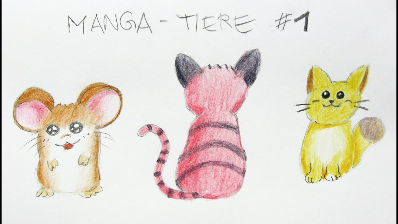 Manga Tiere Zeichnen Lernen #1: Einfache Tiere / Manga Zeichenkurs bei Manga Tiere