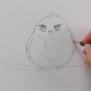Manga Tiere Zeichnen Lernen #4: Vögel / Comic Tiere (Inkl. Manga-Ente) /  Manga Zeichenkurs bei Malen Lernen Videos