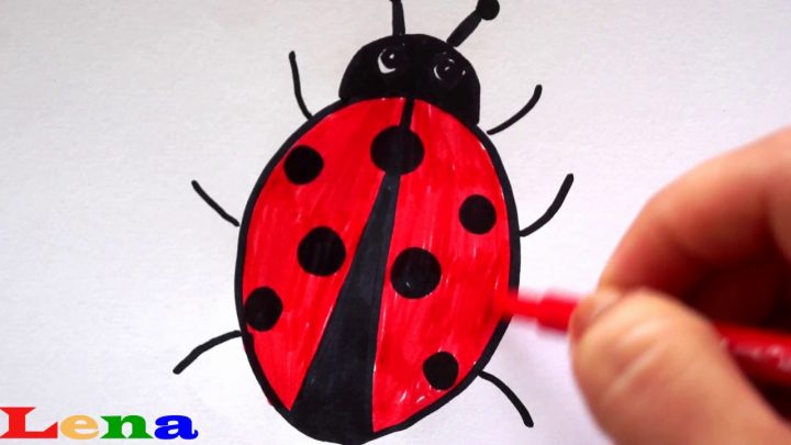 Marienkäfer Zeichnen 🐞 Malen Für Kinder 🐞 How To Draw A Ladybug 🐞 Как  Нарисовать Божью Коровку für Marienkäfer Selber Zeichnen