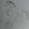 Meine Zeichnungen - Zeichnung - Pferd, Springend - Wattpad bestimmt für Steigendes Pferd Zeichnen