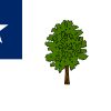 Mississippi's Magnolia Flag, 1861 (Mit Bildern) | Fahnen bestimmt für Flagge Bosnien Herzegowina Ausmalen