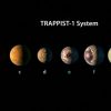 Nasa - Sieben Erdähnliche Planeten Entdeckt bei Wie Viele Planeten Gibt Es
