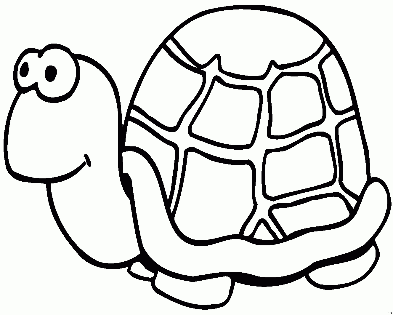 Nette Schildkroete Ausmalbild &amp; Malvorlage (Comics) ganzes Schildkröte Malvorlage