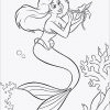 New Arielle Die Meerjungfrau Disney Malvorlage (Mit Bildern für Ausmalbild Disney