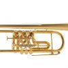 Oberrauch B-Trompete -Überetsch 11,20-, Vergoldet in Trompete Bilder