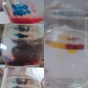 Öl In Wasser Material: Glas, Wasser, Lebensmittelfarbe verwandt mit Experiment Mit Wasser Öl Und Lebensmittelfarbe