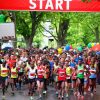 Organisator Aufenanger Zieht Positives Kassel Marathon-Fazit bei Wie Lang Ist Ein Marathon
