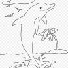 Ozeanischen Delfin Ausmalbild Hai-Tier-Malbuch - Hai Png innen Delfin Ausmalbild
