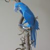 Papagei Papier Basteln Hyacinth Macaw Yamaha Rare Animals Of innen Papagei Basteln Mit Kindern