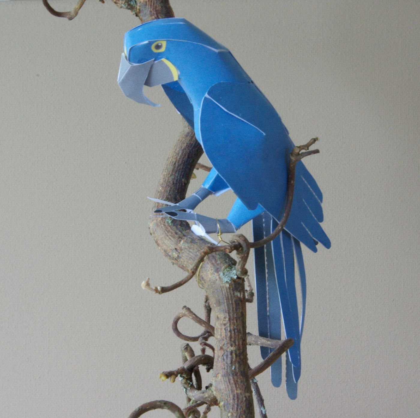 Papagei Papier Basteln Hyacinth Macaw Yamaha Rare Animals Of innen Papagei Basteln Mit Kindern