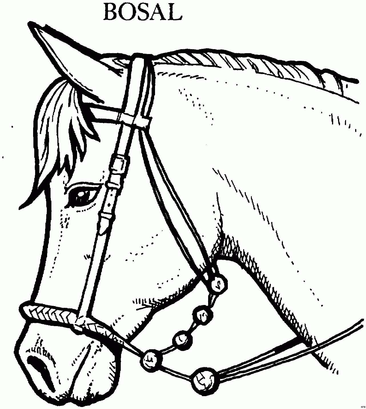Pferd Mit Bosal Ausmalbild &amp; Malvorlage (Tiere) bestimmt für Window Color Vorlagen Pferd