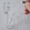 Pferd Zeichnen bei Pferde Zeichnen Lernen Für Anfänger