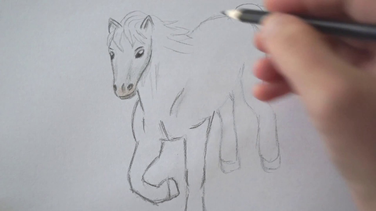 Pferd Zeichnen für Pferde Malen Für Anfänger