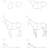 Pferd Zeichnen Lernen - 7 Schritte Für Ein Anatomisch bestimmt für Pferde Zeichnen Lernen