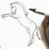 Pferd Zeichnen Lernen Einfach Schritt Für Schritt Für Anfänger 4 – Zeichnen  Lernen Tutorial innen Steigendes Pferd Zeichnen