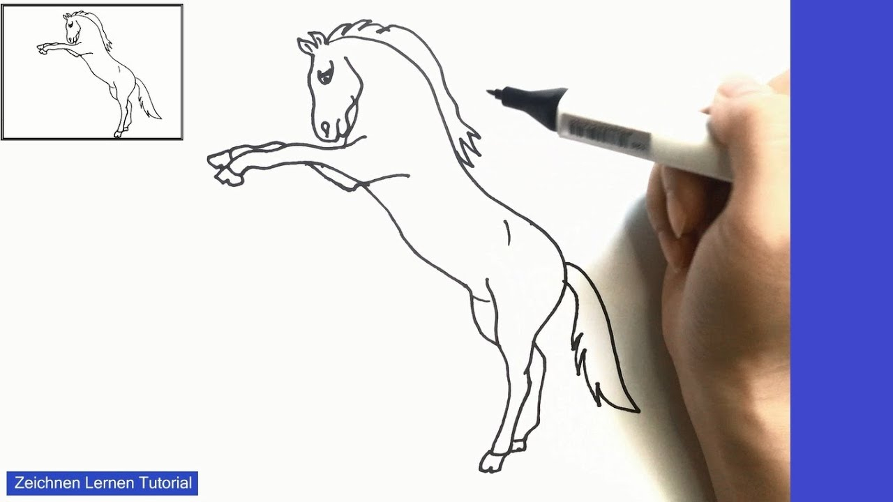 Pferd Zeichnen Lernen Einfach Schritt Für Schritt Für Anfänger 4 – Zeichnen  Lernen Tutorial innen Steigendes Pferd Zeichnen