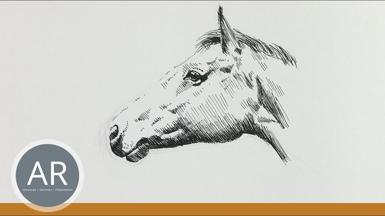 Pferdekopf Zeichnen. Pferde-Portraits Zeichnen Lernen.  Mappenvorbereitungskurs Kunst. bei Pferdekopf Zeichnen Schritt Für Schritt