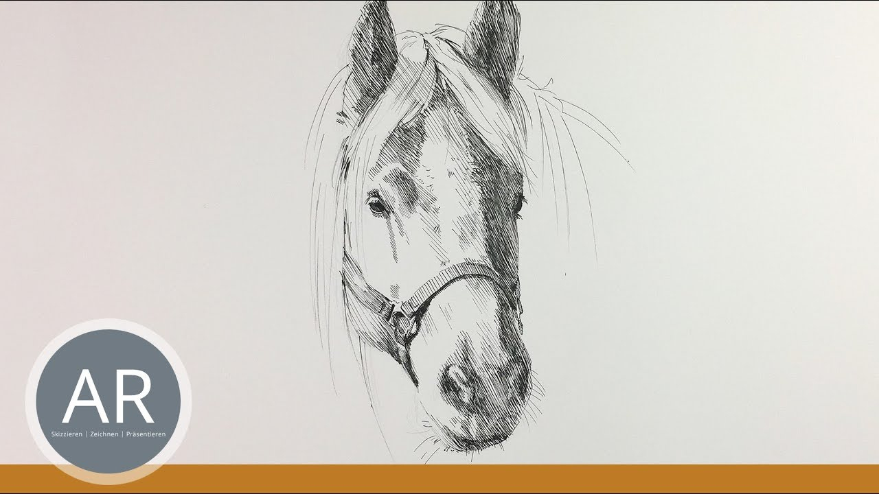 Pferdekopf Zeichnen. Pferde Zeichnen Lernen. Pferde-Portraits. Mappenkurs  Kunst. in Pferde Malen Lernen