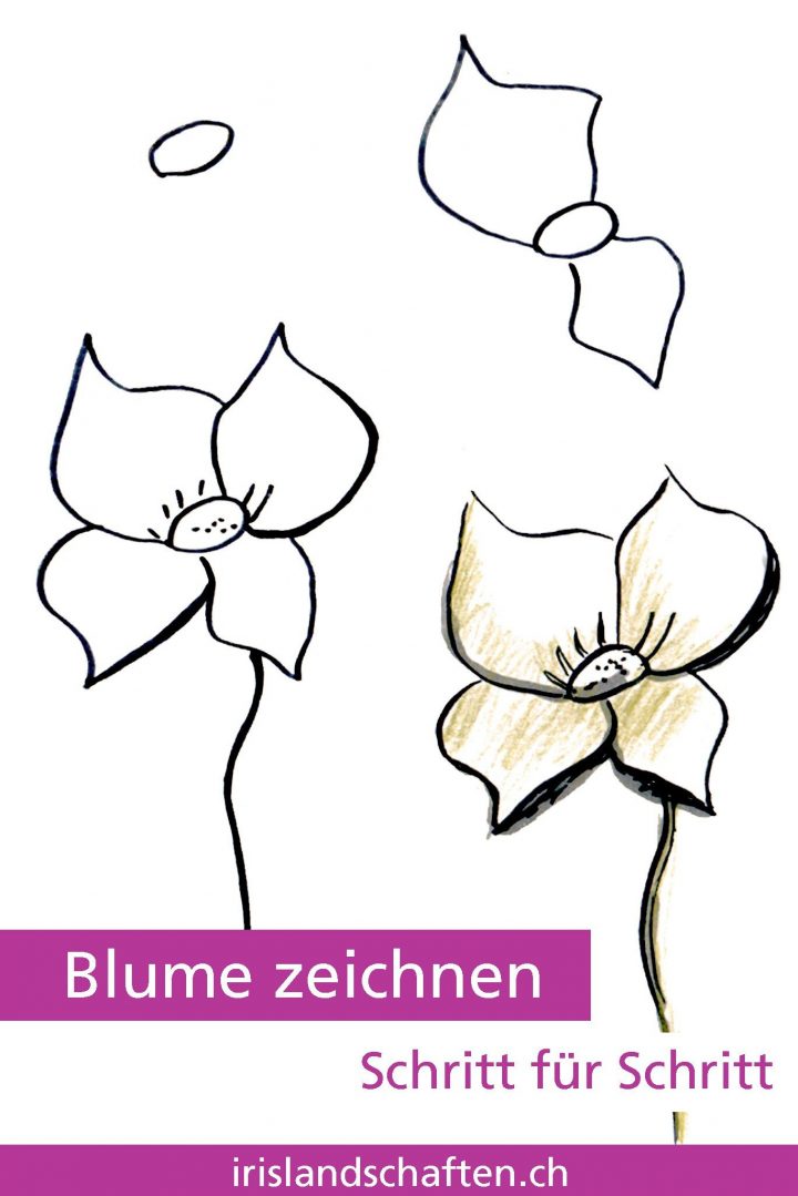 Pflanzen Zeichnen Schritt Für Schritt | Zeichnen Schritt Für bestimmt für Blumen Zeichnen Lernen Schritt Für Schritt