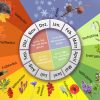Phaenologischer-Kalender | Apfelblüte | Swr Wissen | Swr bei Beginn Der Jahreszeiten