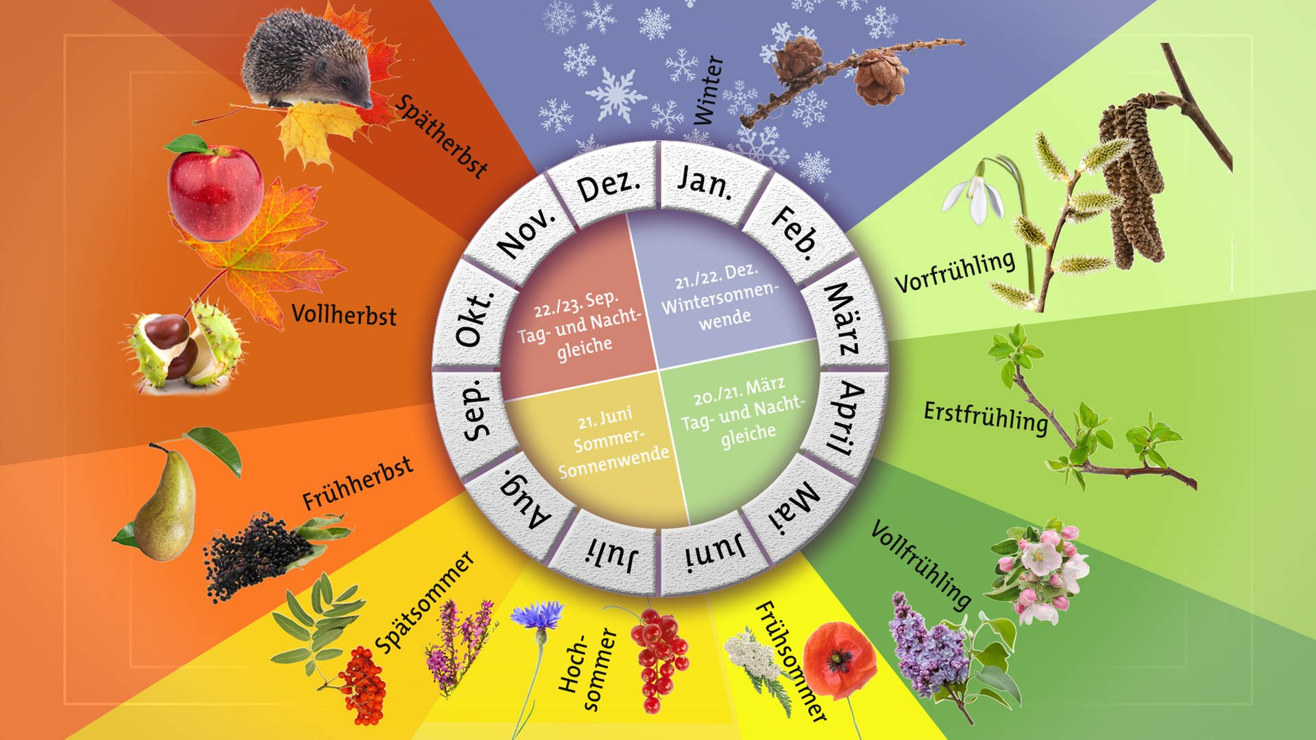Phaenologischer-Kalender | Apfelblüte | Swr Wissen | Swr in Jahreszeitenkalender