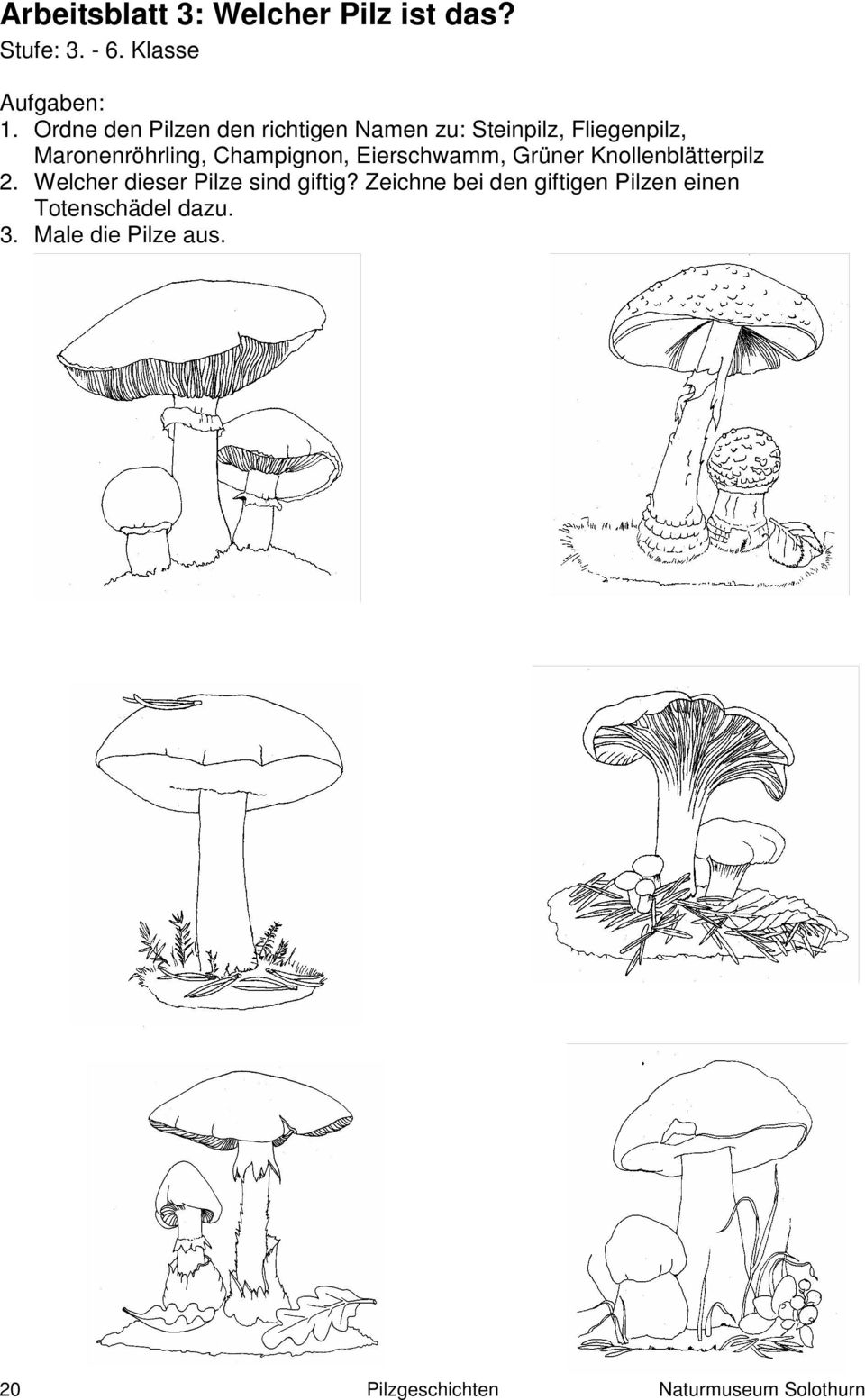 Pilzgeschichten. Unterlagen Für Kindergarten Und Schule mit Pilze Unterrichtsmaterial Grundschule