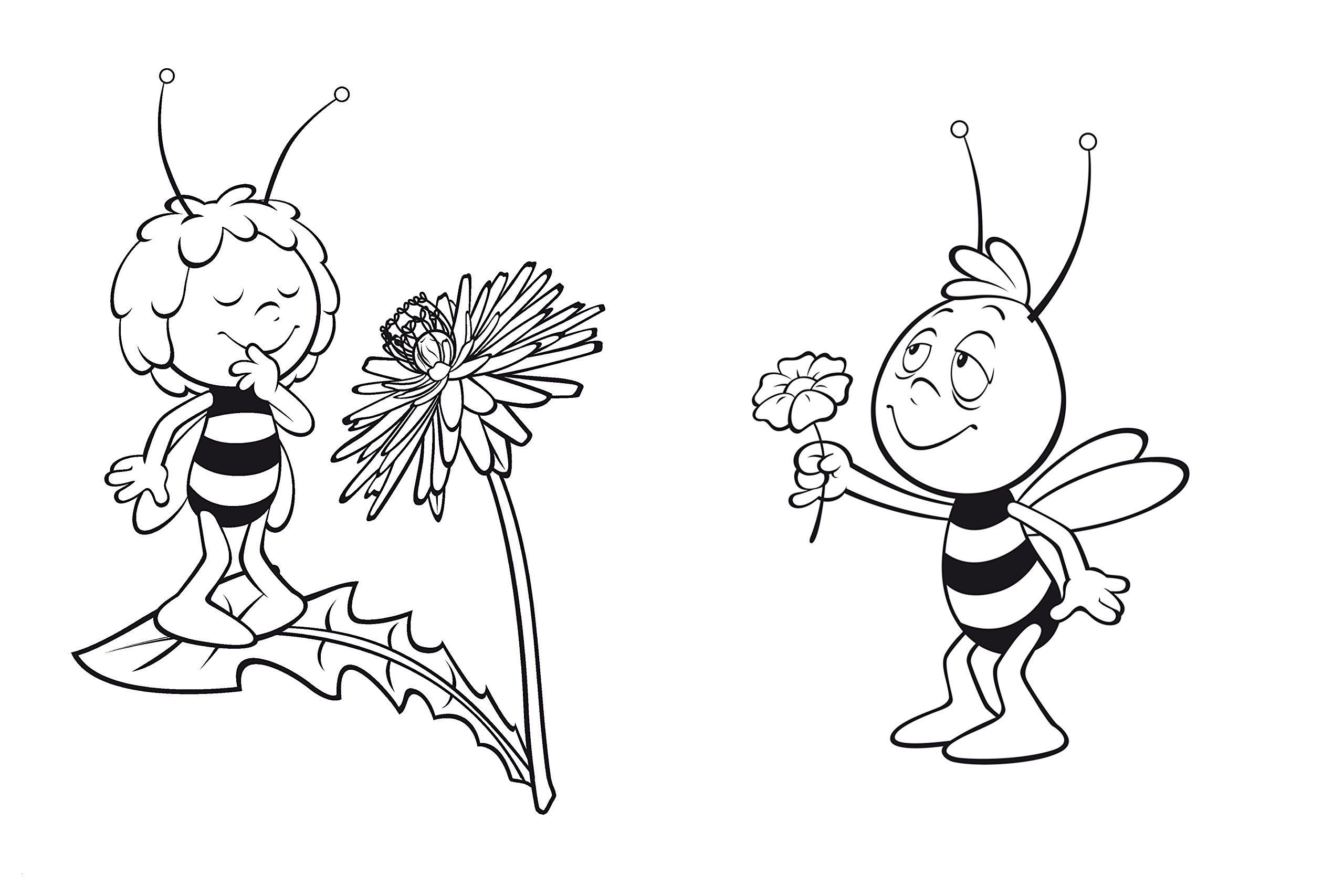 Pin Auf Biene innen Malvorlagen Bienen