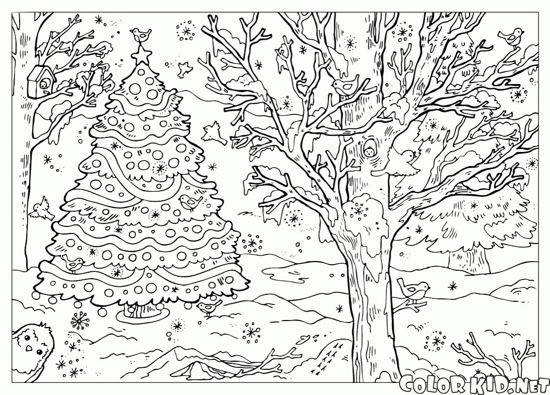 Pin Auf Christmas Coloring mit Winterlandschaft Malvorlage