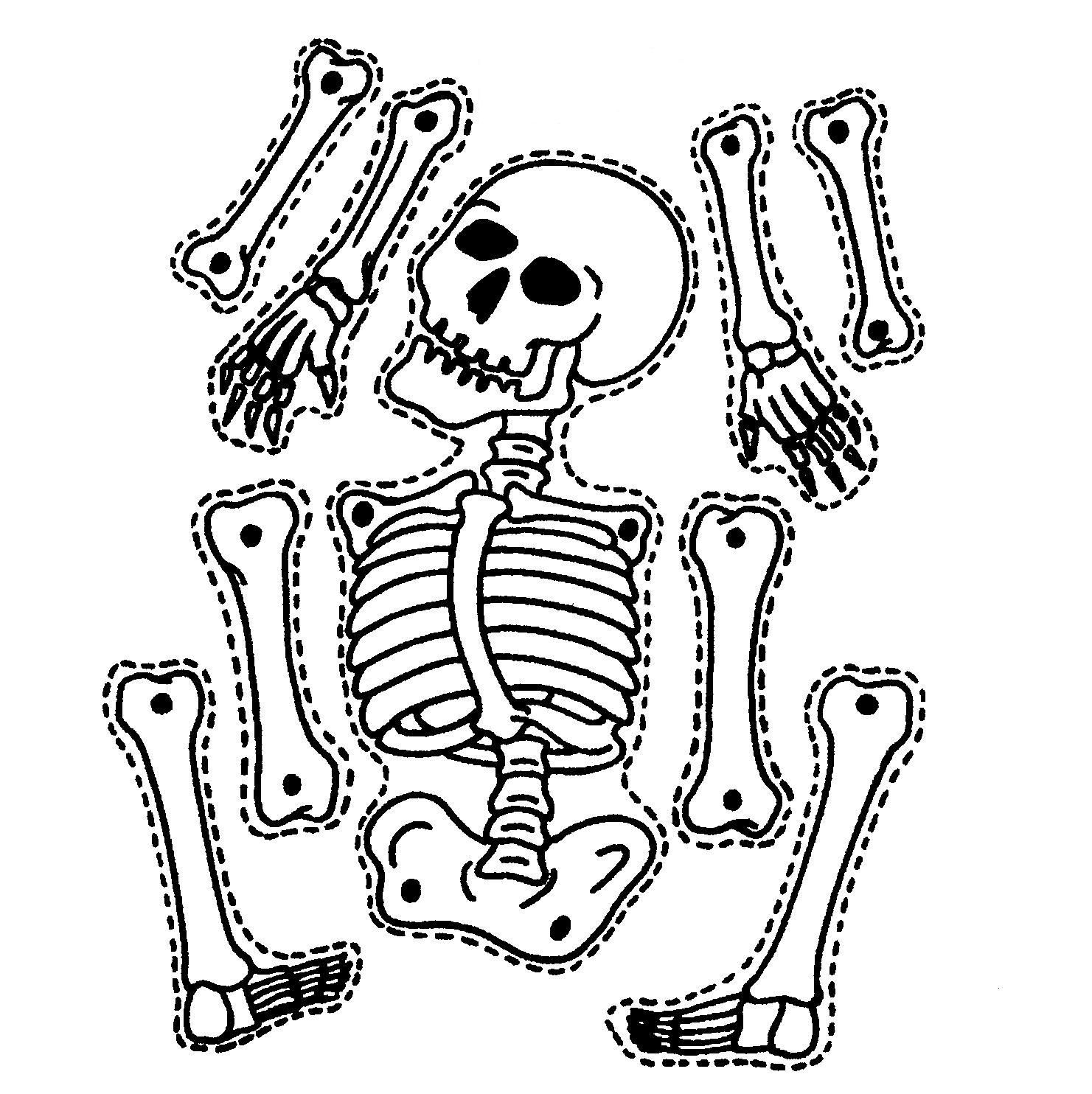 skelett zum ausmalen  kinderbilderdownload