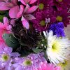 Pin By Carol Sego On Serendipity In 2020 | Beautiful Flowers mit Blumenbilder Zum Geburtstag