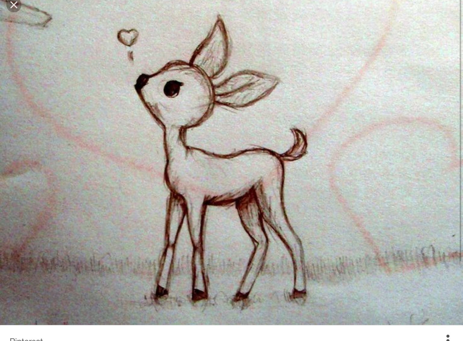 Pin By Esmi C: On Drawing (With Images) | Deer Drawing ganzes Reh Zeichnen