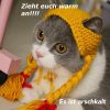 Pin Von Karin Lamka Auf Katzen | Tierkostüm, Tiere In bei Lustige Tierbilder Kostenlos