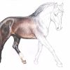 Pin Von Kendall Berry Auf Diy, Crafts, And Art | Pferde ganzes Umrisszeichnung Pferd