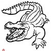 Pin Von Mabel Oxox Auf Tailgating (Mit Bildern) | Ausmalen bestimmt für Malvorlage Krokodil